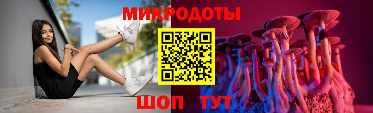 Галлюциногенные грибы Psilocybe Советский